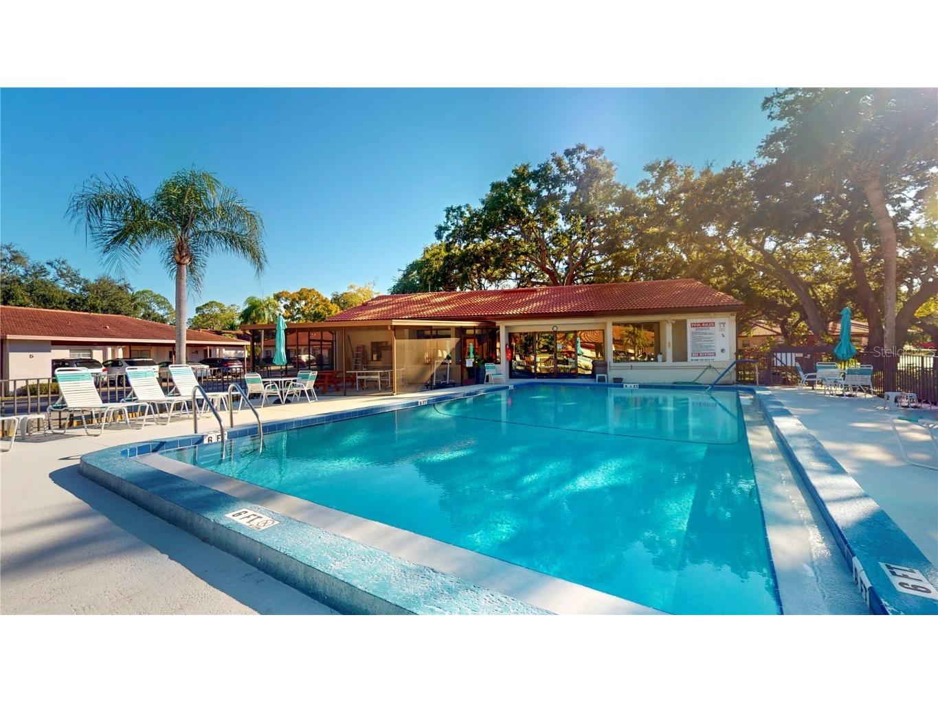 1155 Montrose Place Dunedin FL 34698 TB8448932 image30