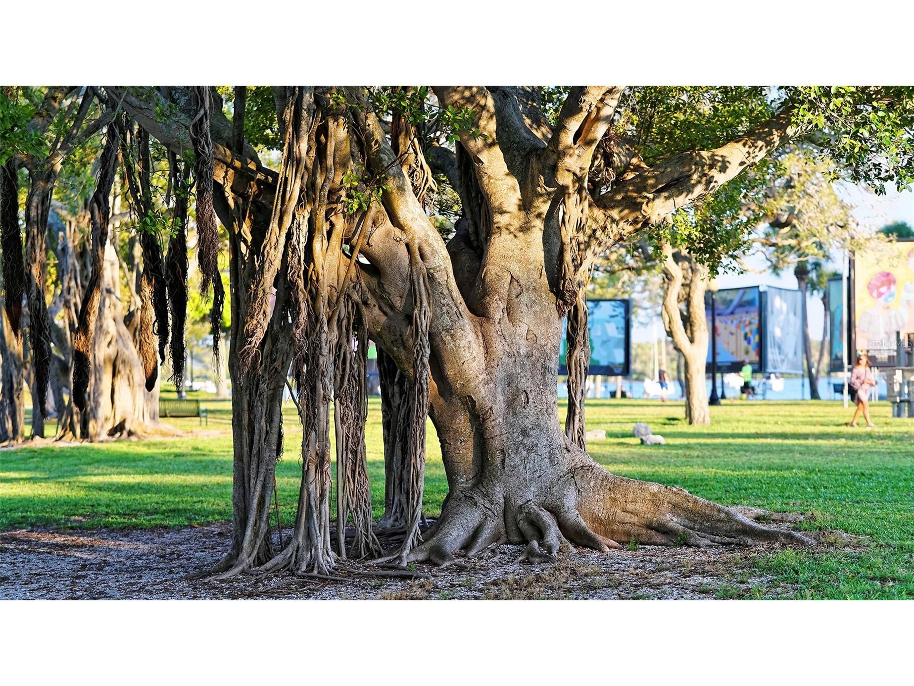 1155 N Gulfstream Avenue #1107 Sarasota FL 34236 - SARASOTA BAY / MARINA JACK A4689252 image79