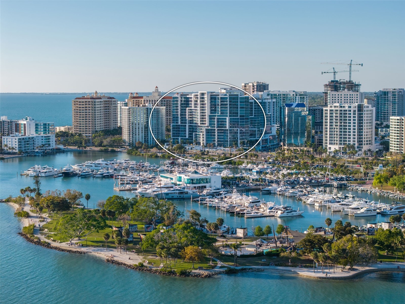 1155 N Gulfstream Avenue #802 Sarasota FL 34236 A4684831 image1