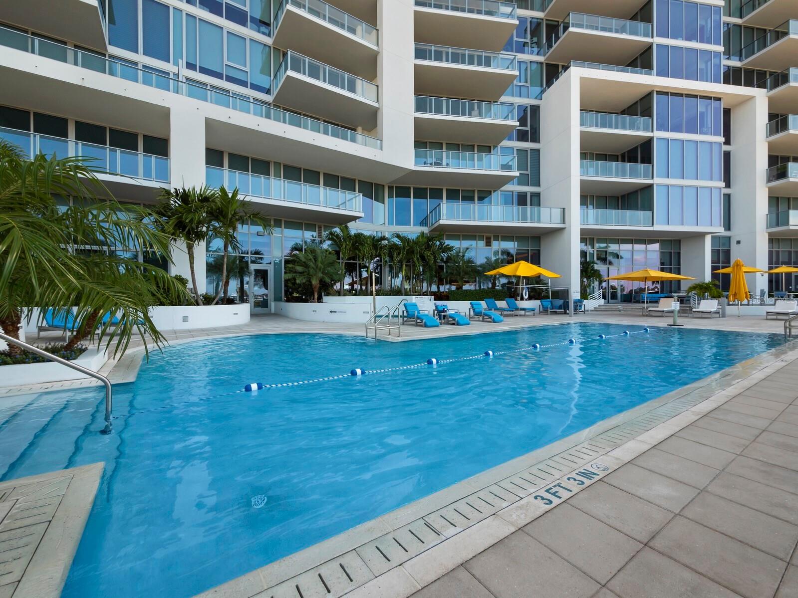 1155 N Gulfstream Avenue #906 Sarasota FL 34236 - SARASOTA BAY A4678730 image45
