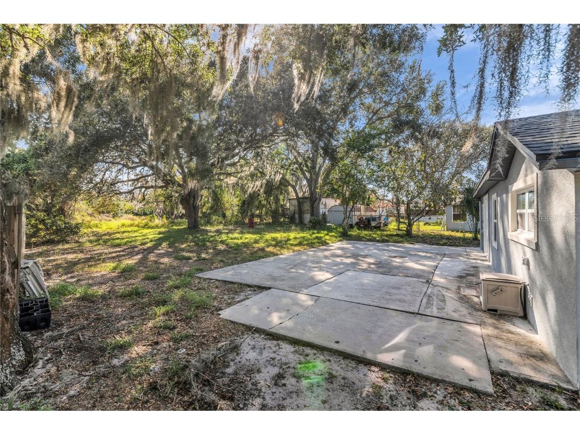 1155 Wells Avenue Tavares FL 32778 O6365275 image32