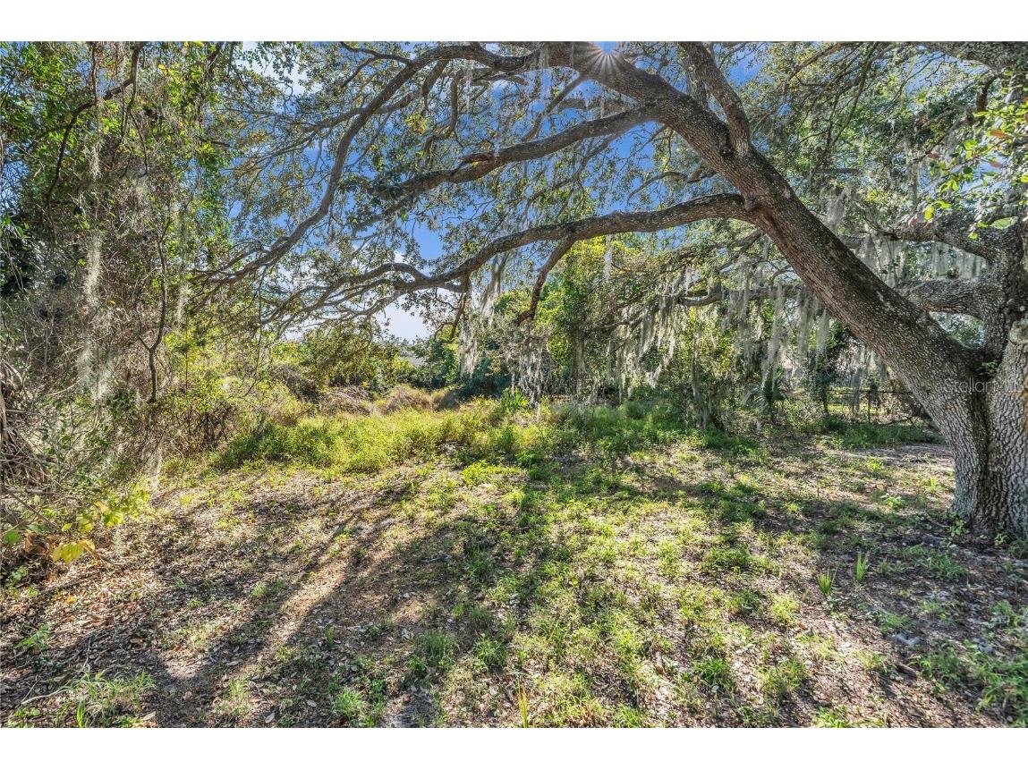 1155 Wells Avenue Tavares FL 32778 O6365275 image34