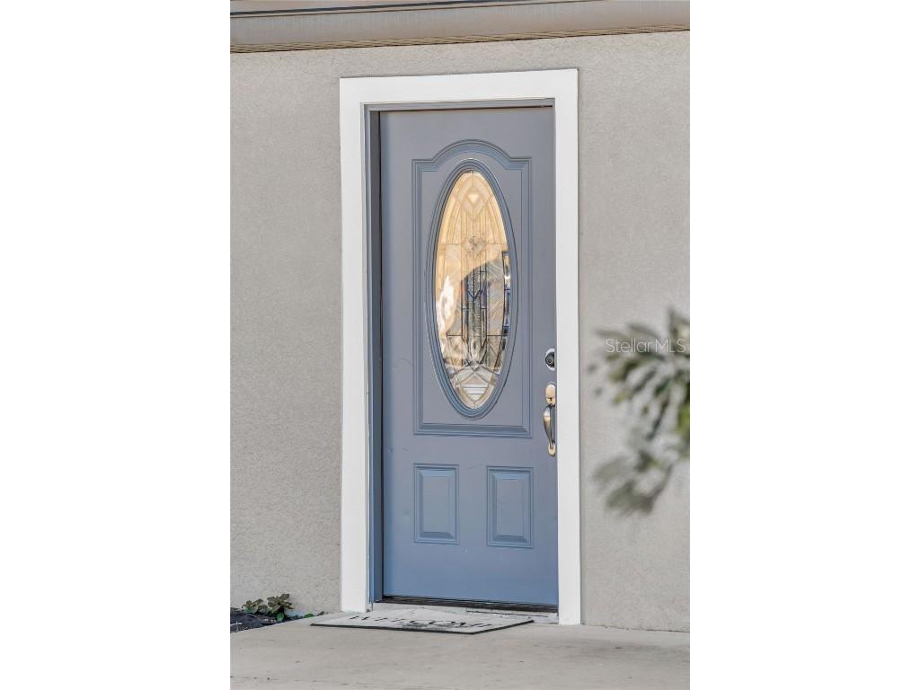 1155 Wells Avenue Tavares FL 32778 O6365275 image5