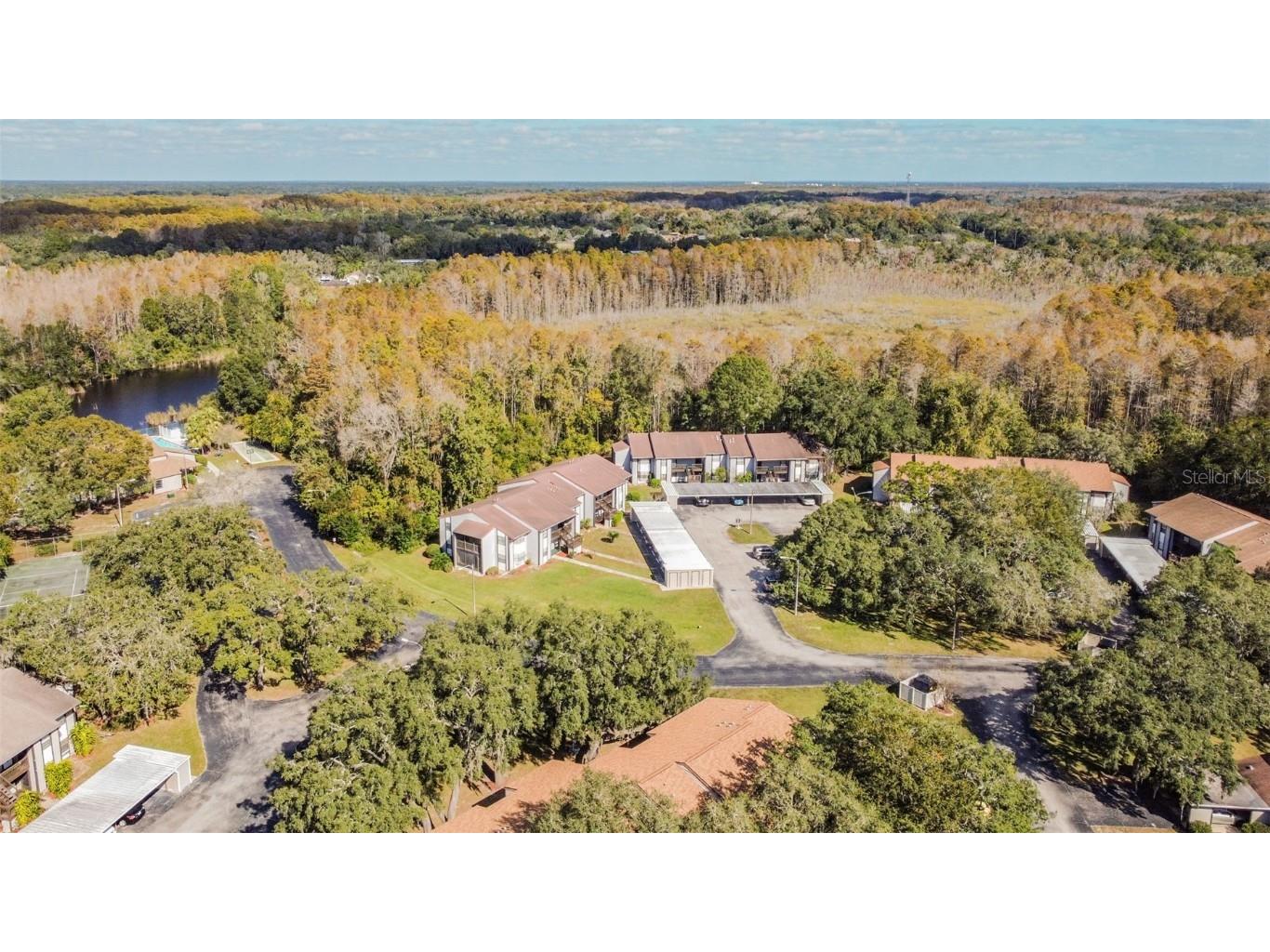 11550 Baywood Meadows Drive #7 New Port Richey FL 34654 TB8433151 image14