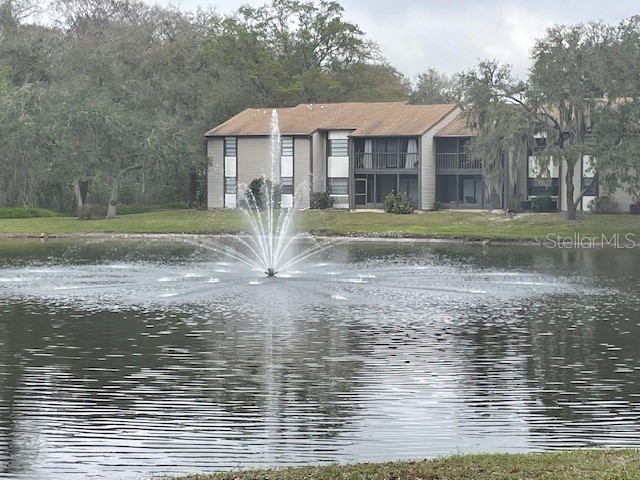 11550 Baywood Meadows Drive #7 New Port Richey FL 34654 TB8433151 image15