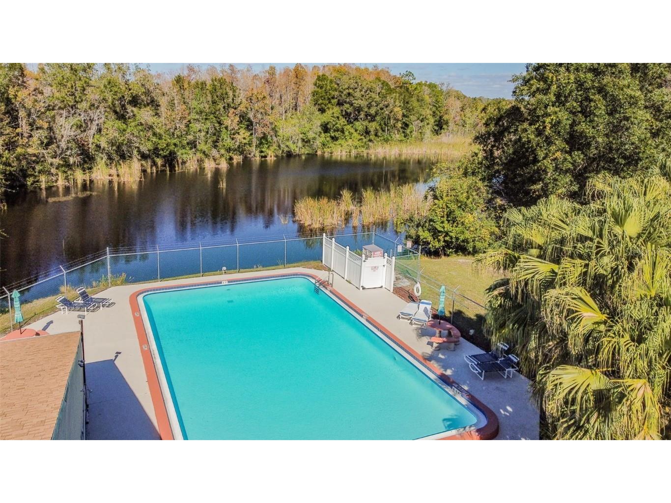 11550 Baywood Meadows Drive #7 New Port Richey FL 34654 TB8433151 image19