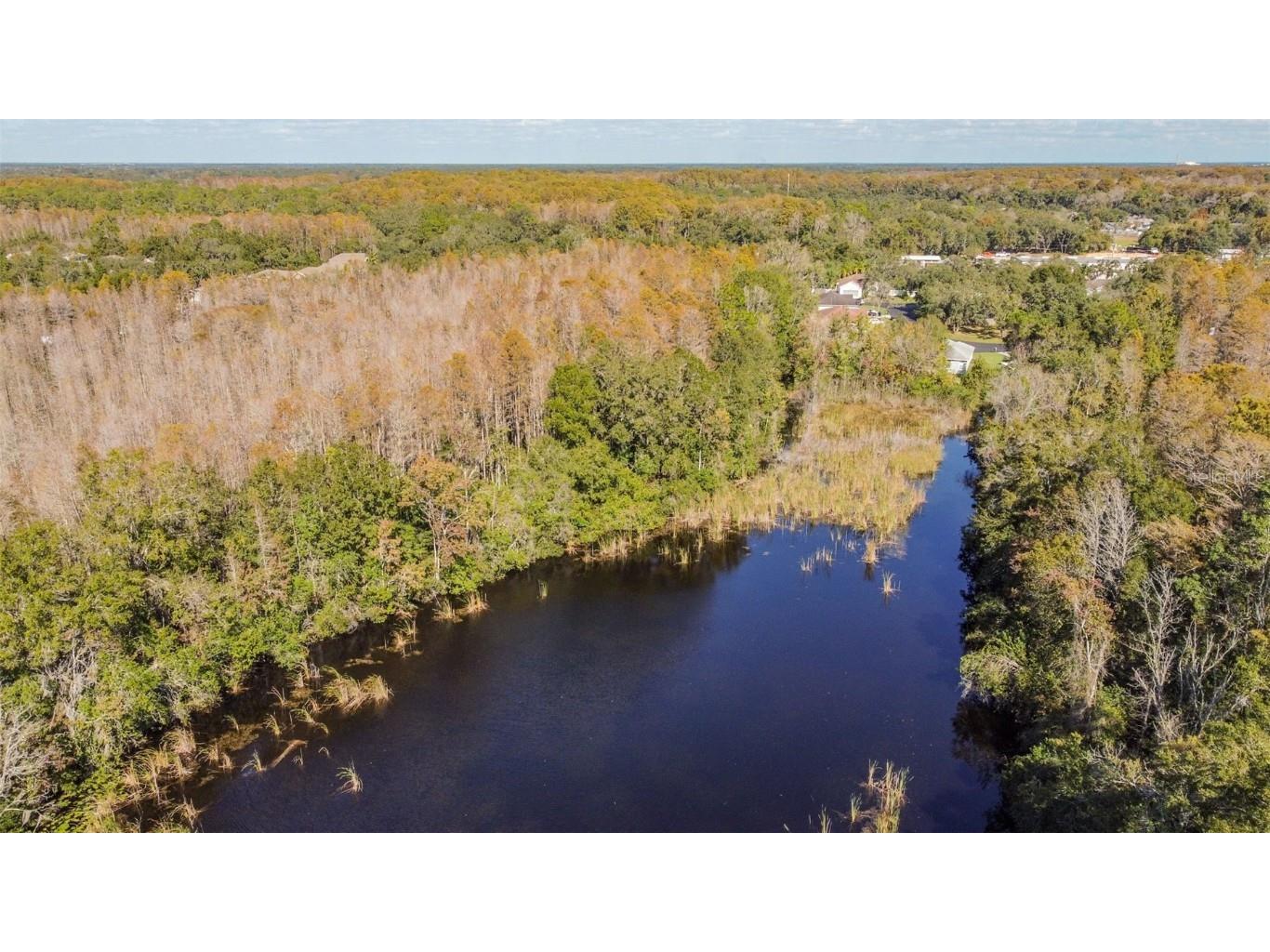 11550 Baywood Meadows Drive #7 New Port Richey FL 34654 TB8433151 image24