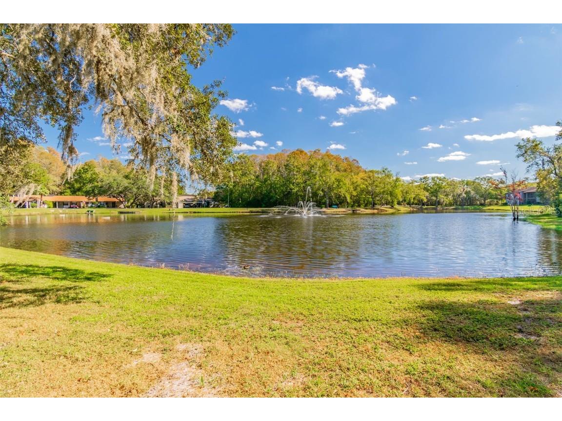 11550 Baywood Meadows Drive #7 New Port Richey FL 34654 TB8433151 image25