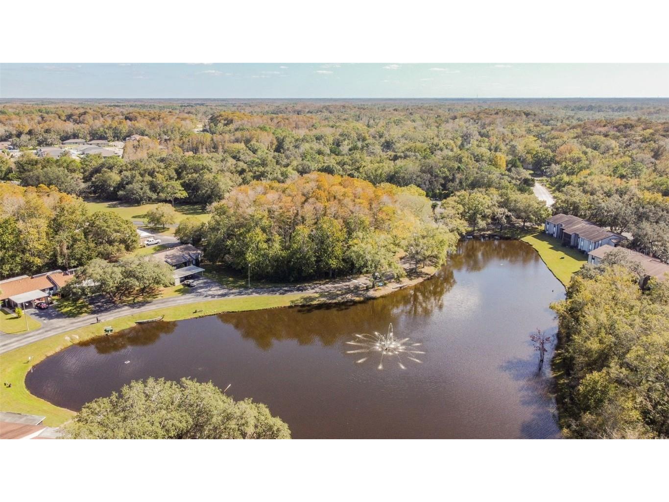 11550 Baywood Meadows Drive #7 New Port Richey FL 34654 TB8433151 image26