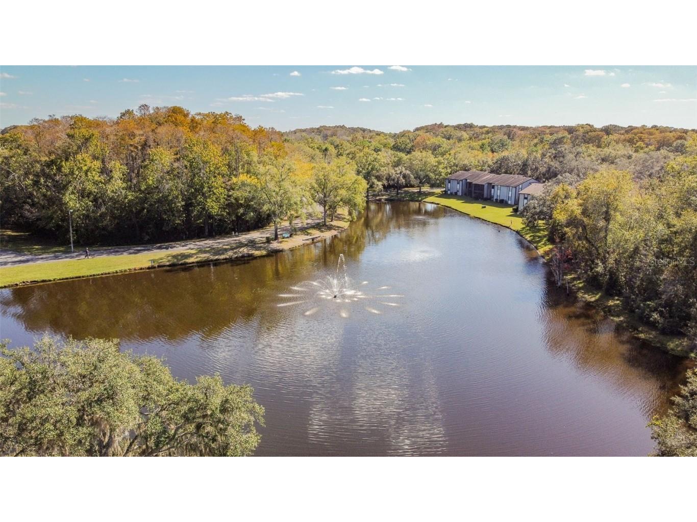 11550 Baywood Meadows Drive #7 New Port Richey FL 34654 TB8433151 image27