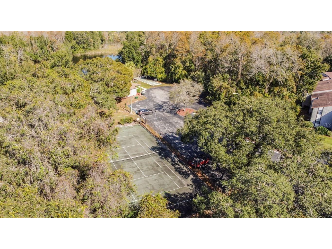 11550 Baywood Meadows Drive #7 New Port Richey FL 34654 TB8433151 image29