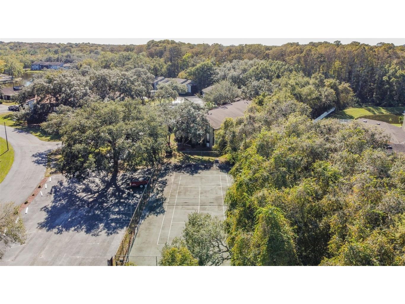 11550 Baywood Meadows Drive #7 New Port Richey FL 34654 TB8433151 image32