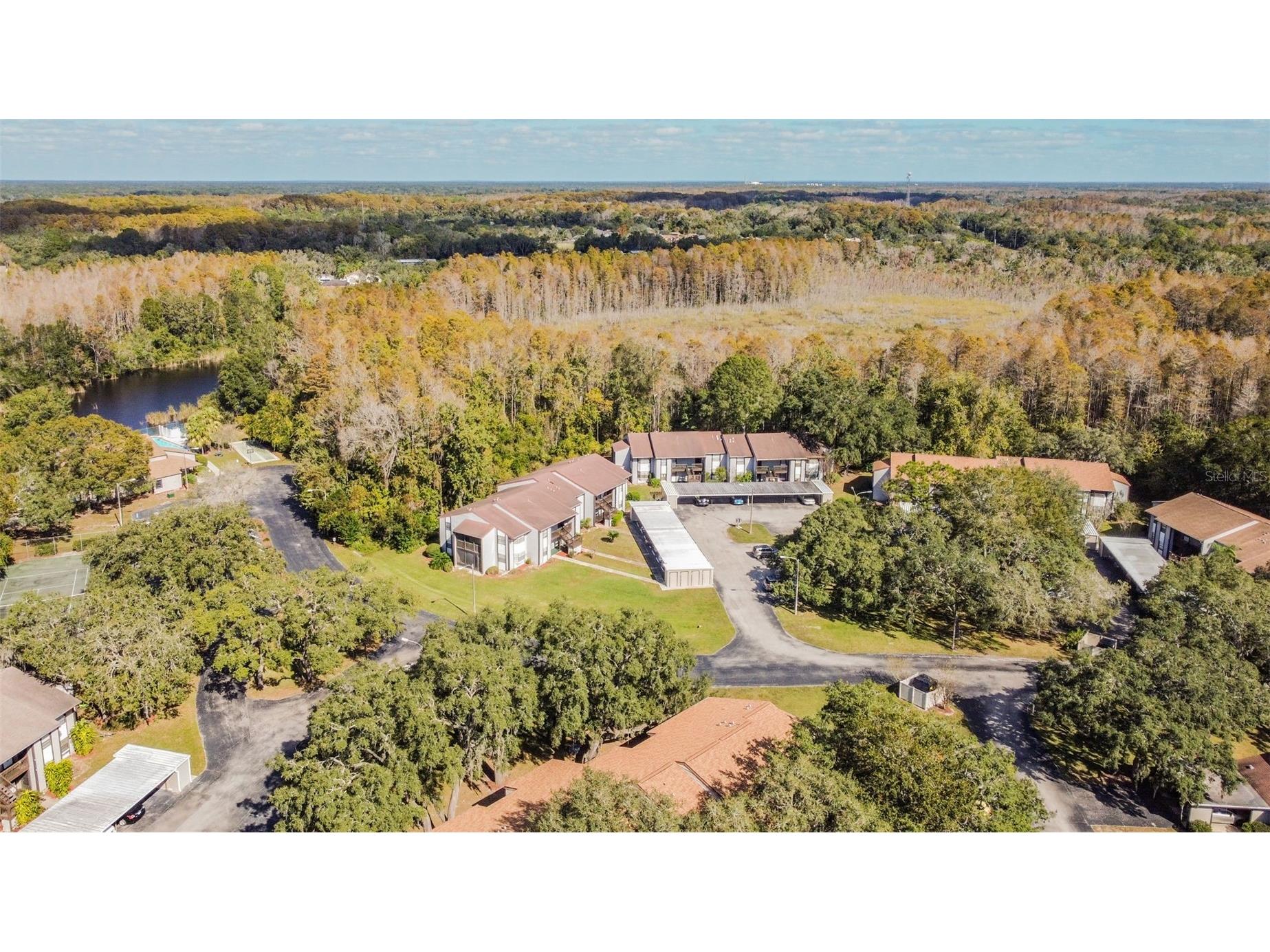 11550 Baywood Meadows Drive #7 New Port Richey FL 34654 TB8475904 image12