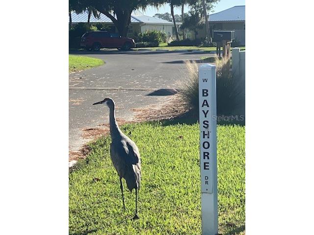 11550 W Bayshore Drive #20 Crystal River FL 34429 - SALT RIVER DIXIE BAY GC534807 image10