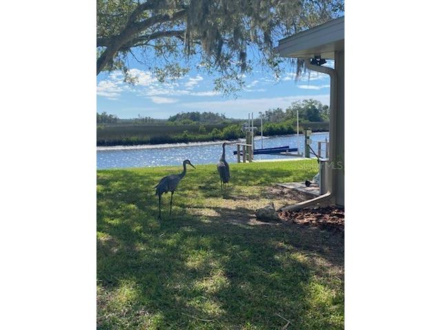 11550 W Bayshore Drive #20 Crystal River FL 34429 - SALT RIVER DIXIE BAY GC534807 image3