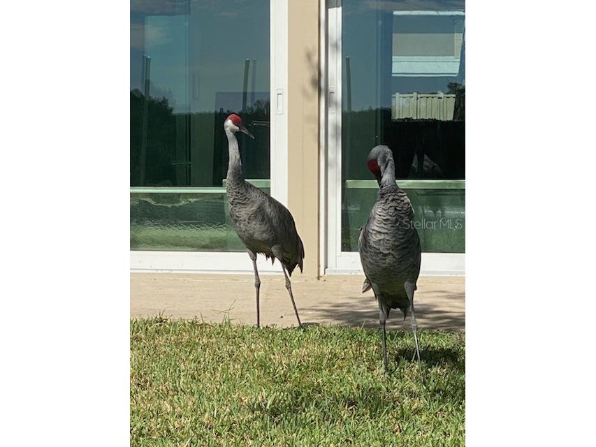 11550 W Bayshore Drive #20 Crystal River FL 34429 - SALT RIVER DIXIE BAY GC534807 image6