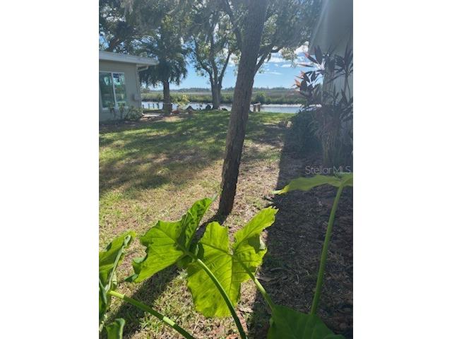 11550 W Bayshore Drive #20 Crystal River FL 34429 - SALT RIVER DIXIE BAY GC534807 image7