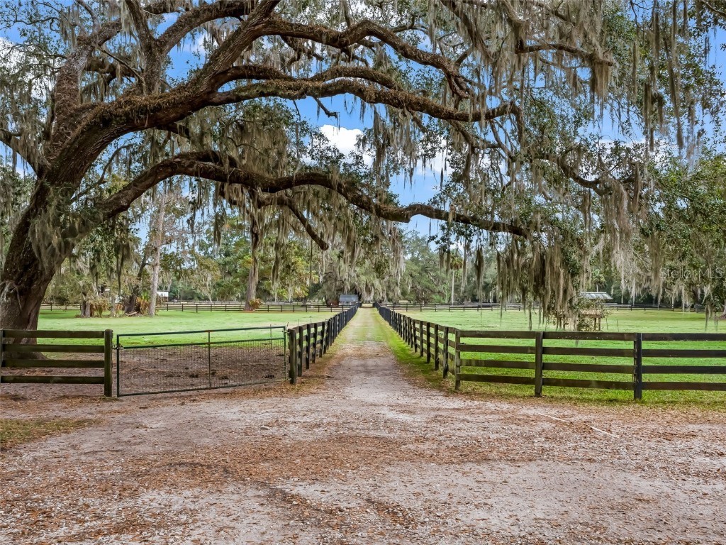 11553 NE Highway 315 Fort Mc Coy FL 32134 OM714268 image44