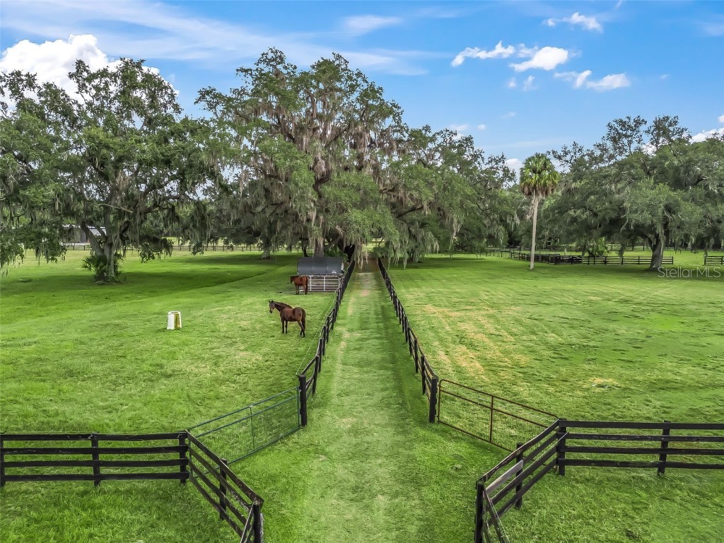 11553 NE Highway 315 Fort Mc Coy FL 32134 OM714268 image47