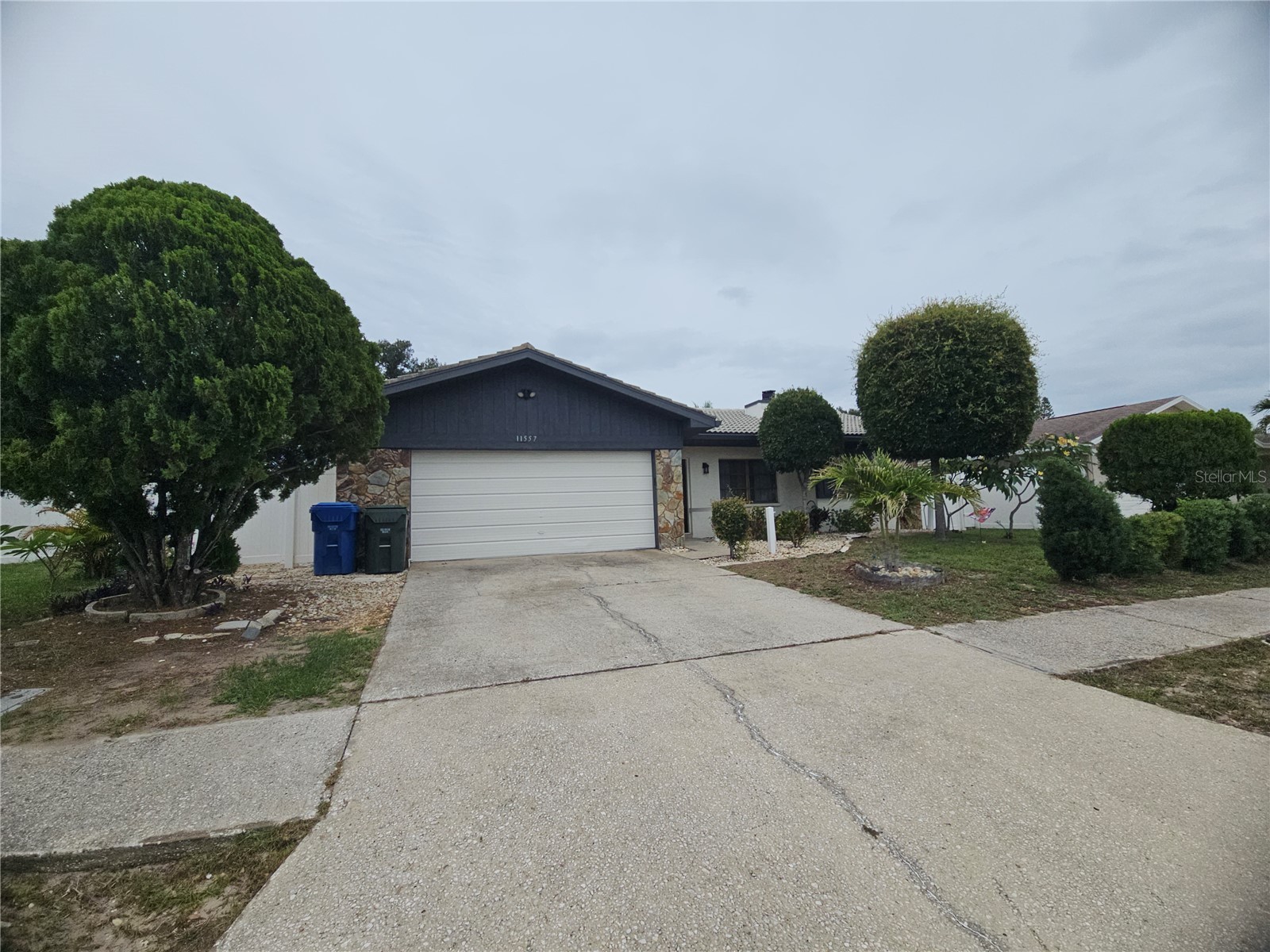 11557 124th Terrace Largo FL 33778 TB8503769 image28