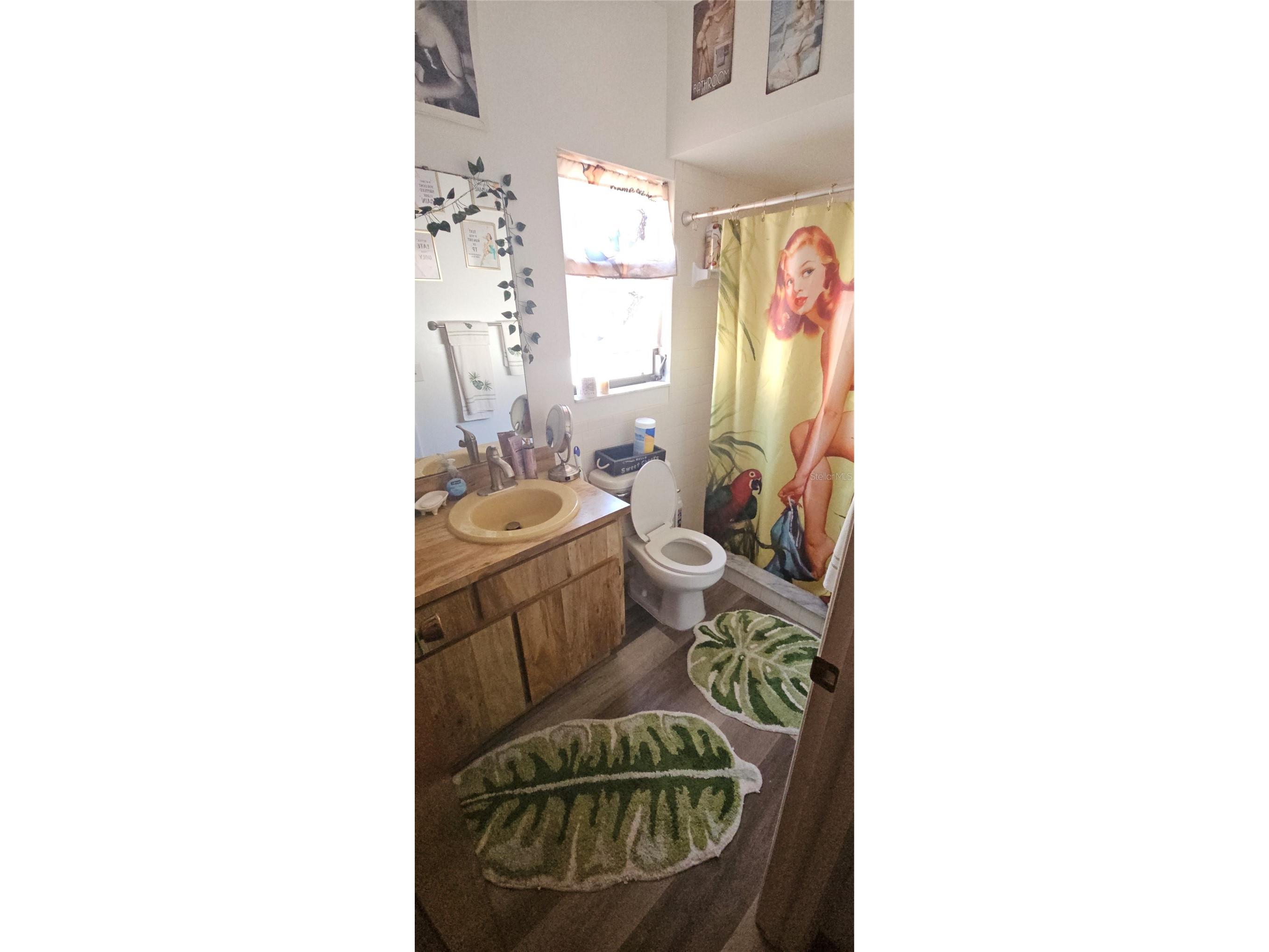 11557 124th Terrace Largo FL 33778 TB8503769 image8