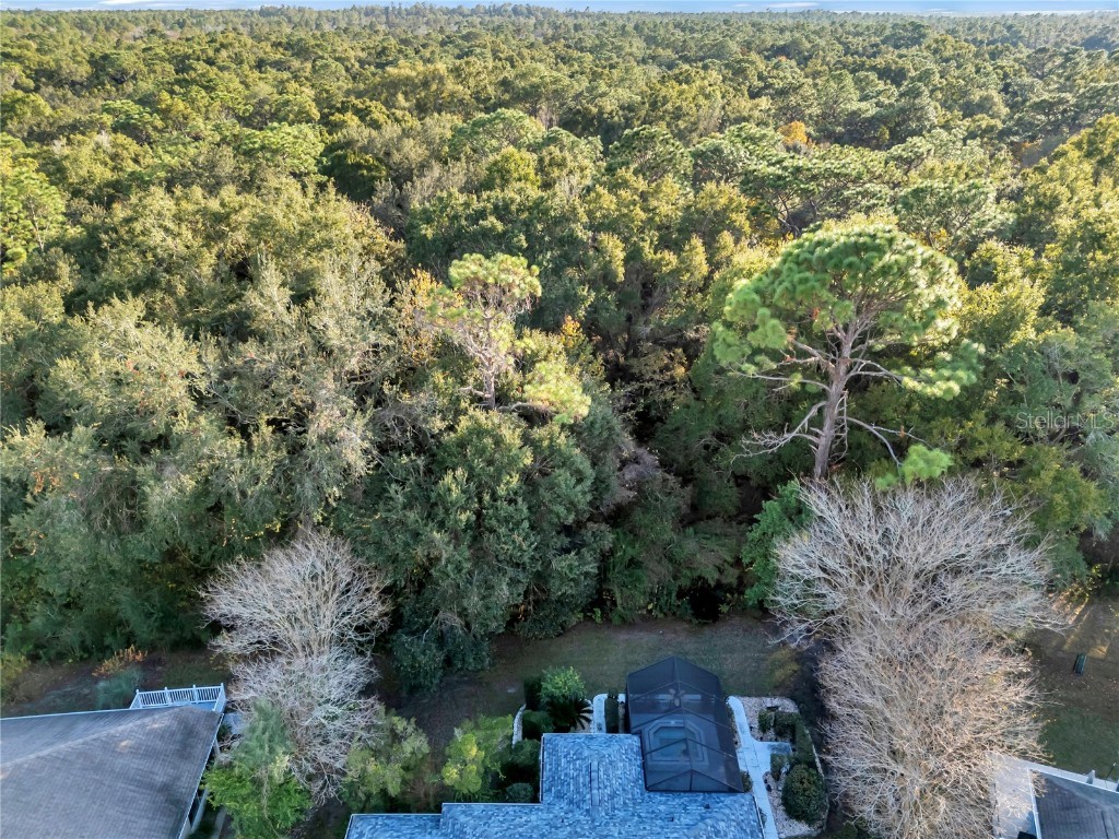 11558 SW 74th Court Ocala FL 34476 OM714281 image53