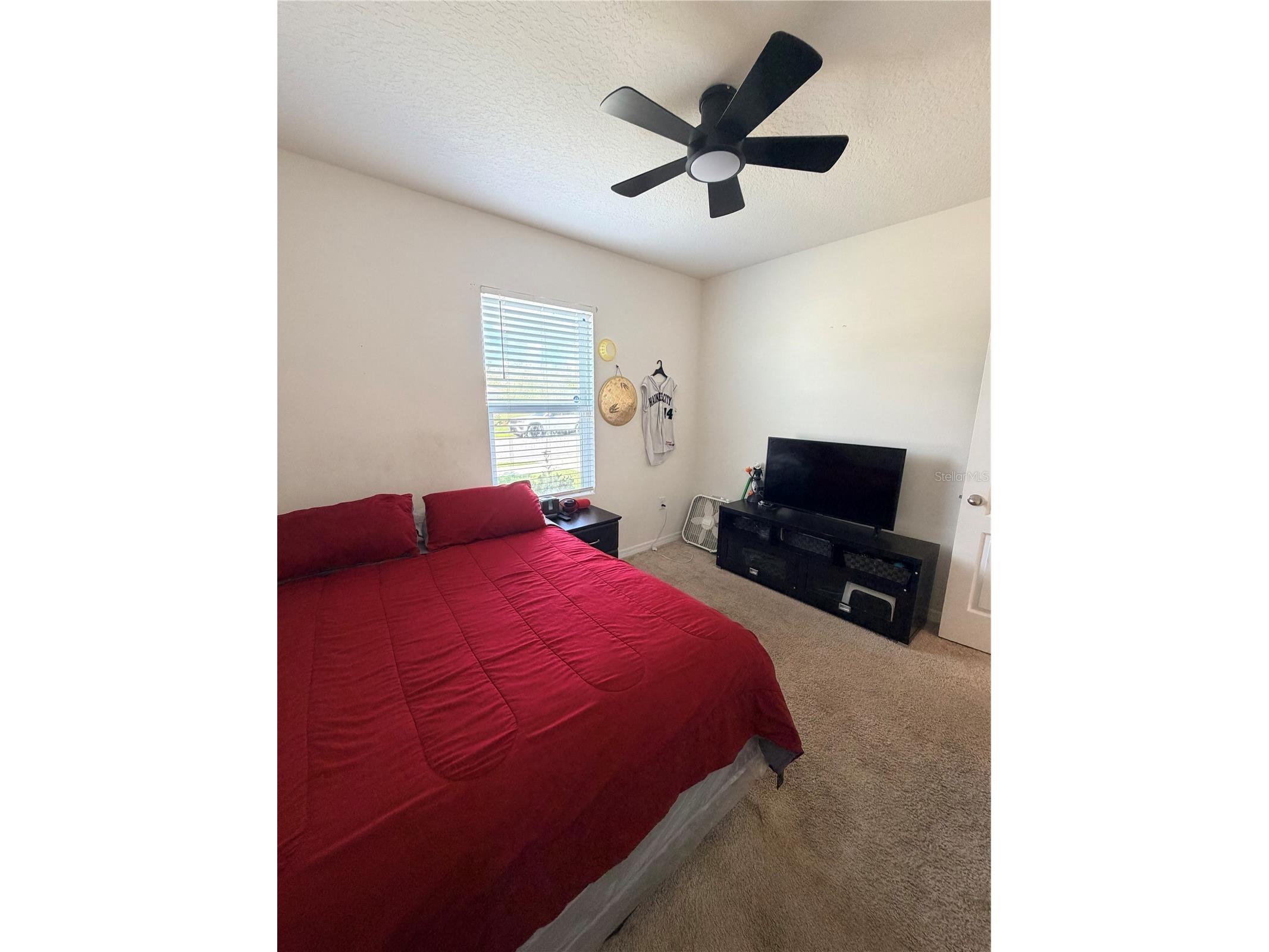 1156 Cambridge Drive Winter Haven FL 33881 S5145456 image22