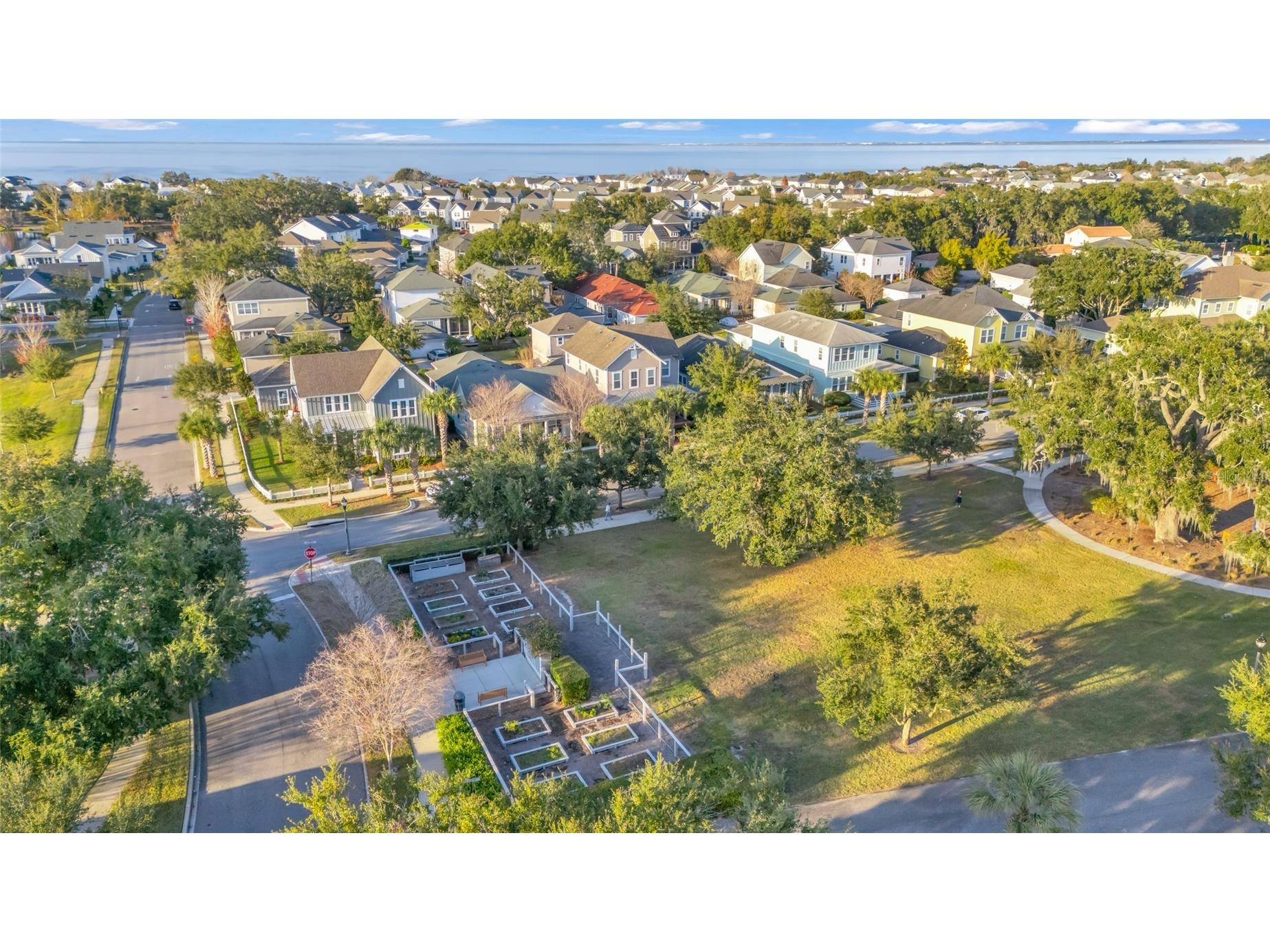 1156 Civitas Way Winter Garden FL 34787 O6385496 image68