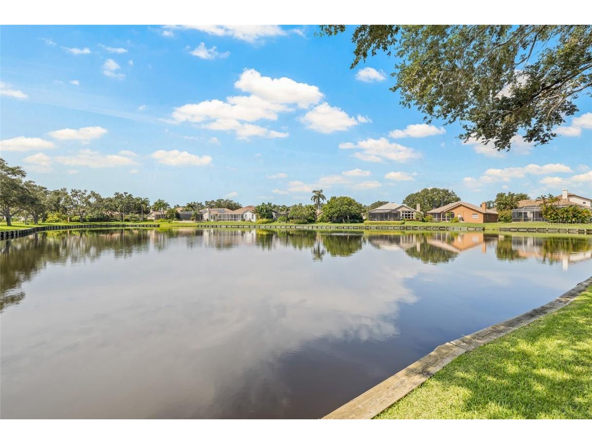 1156 Darlington Oak Drive NE Saint Petersburg FL 33703 TB8422604 image3