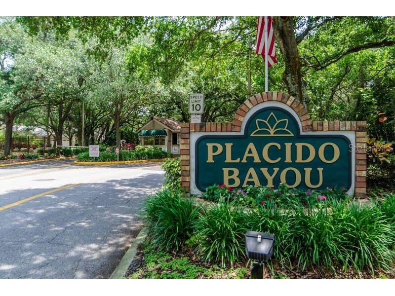 1156 Darlington Oak Drive NE Saint Petersburg FL 33703 TB8422604 image60