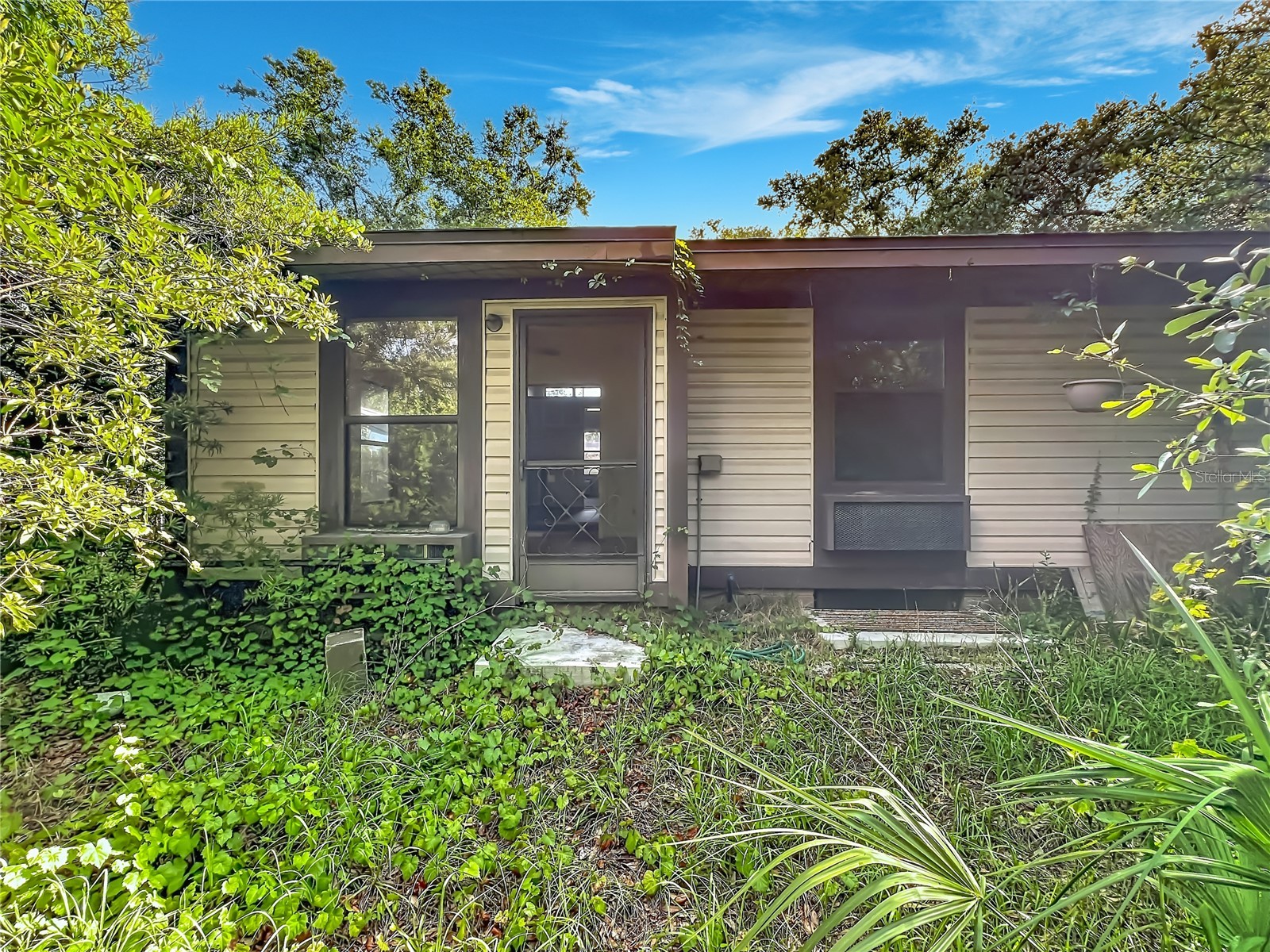 1156 Errol Place Circle Apopka FL 32712 O6412460 image27