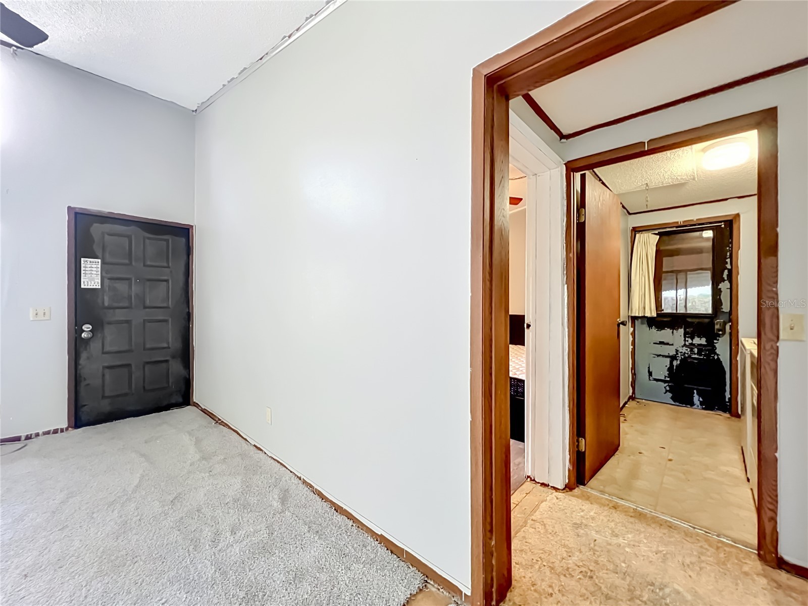1156 Errol Place Circle Apopka FL 32712 O6412460 image7