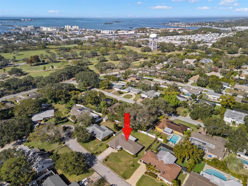 1156 Taylor Avenue Dunedin FL 34698 TB8461936 image4