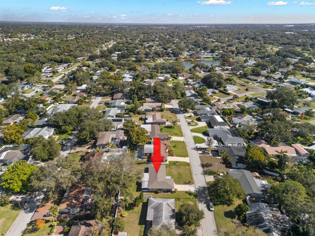 1156 Taylor Avenue Dunedin FL 34698 TB8461936 image41