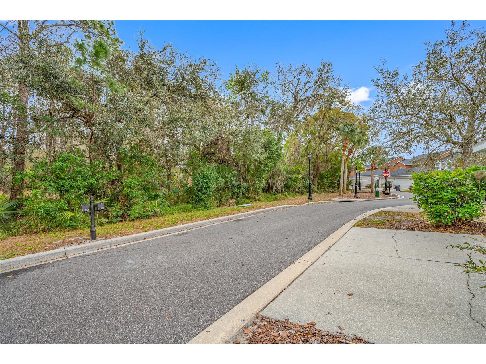 11560 Fountainhead Drive Tampa FL 33626 TB8482586 image21