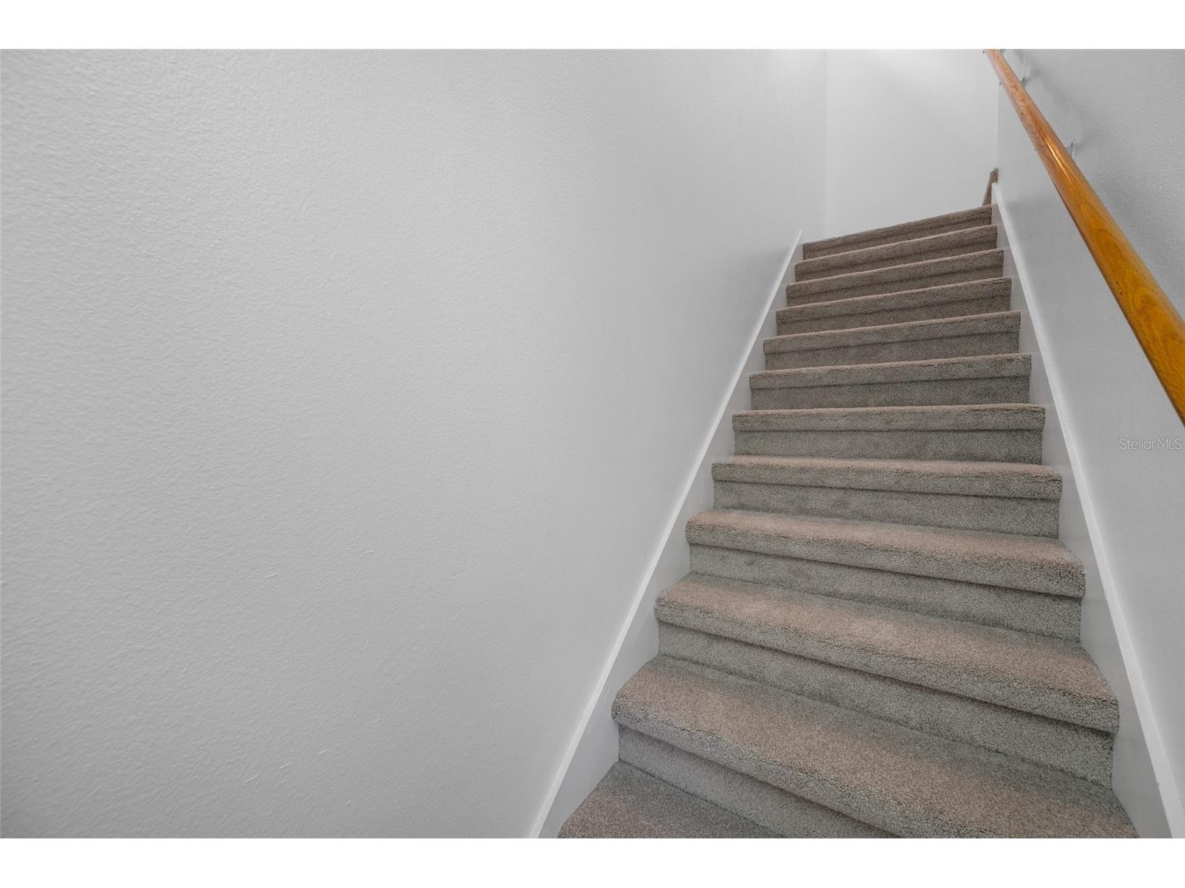 11560 Fountainhead Drive Tampa FL 33626 TB8482586 image33
