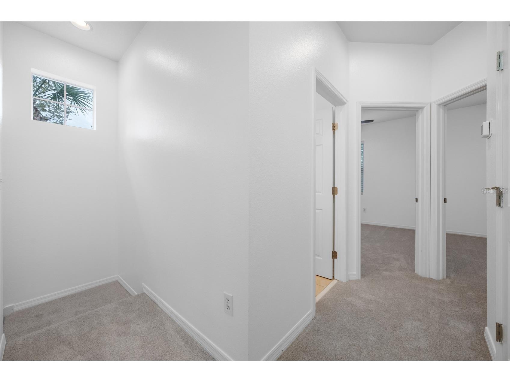 11560 Fountainhead Drive Tampa FL 33626 TB8482586 image34