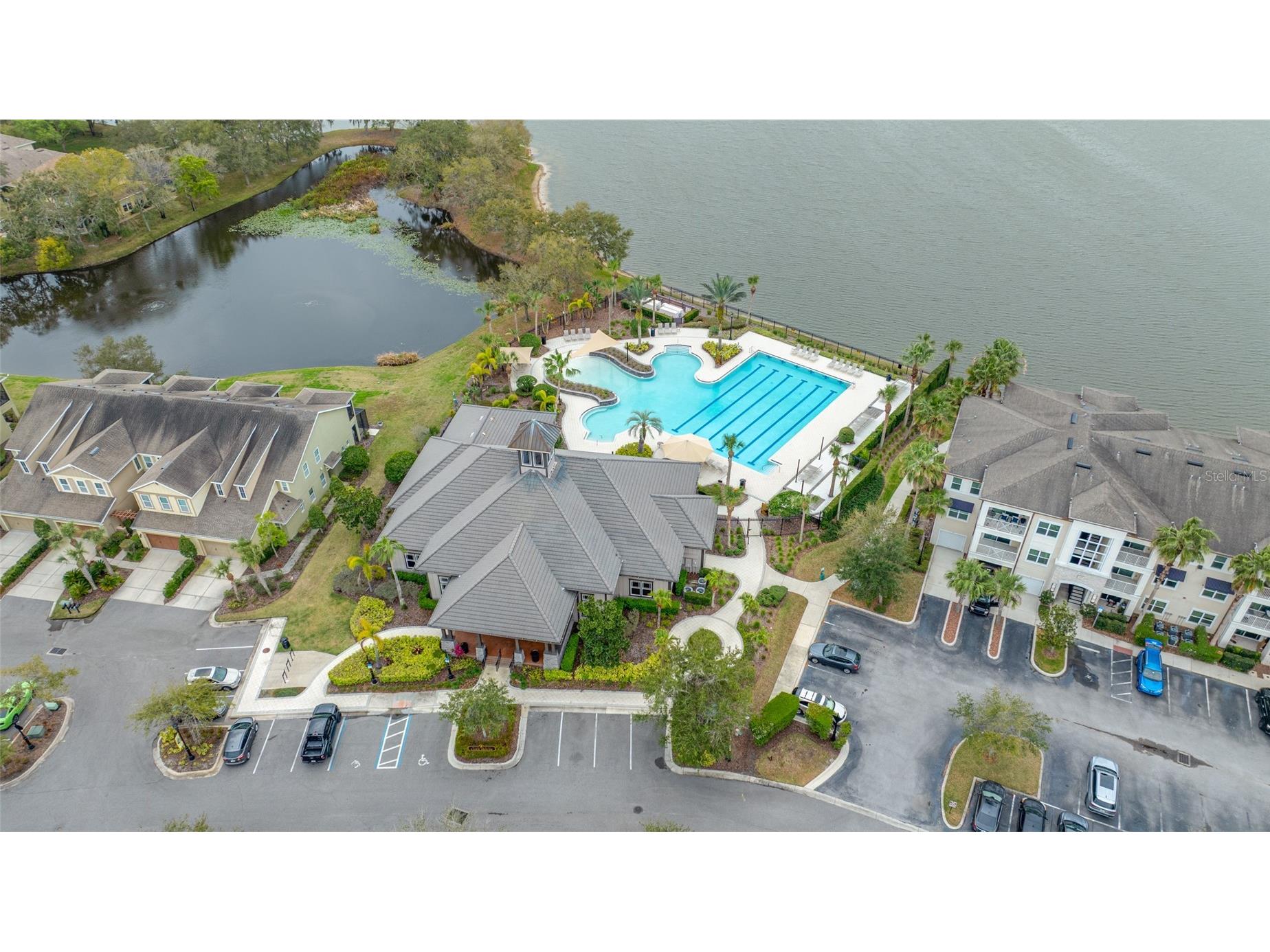 11560 Fountainhead Drive Tampa FL 33626 TB8482586 image50