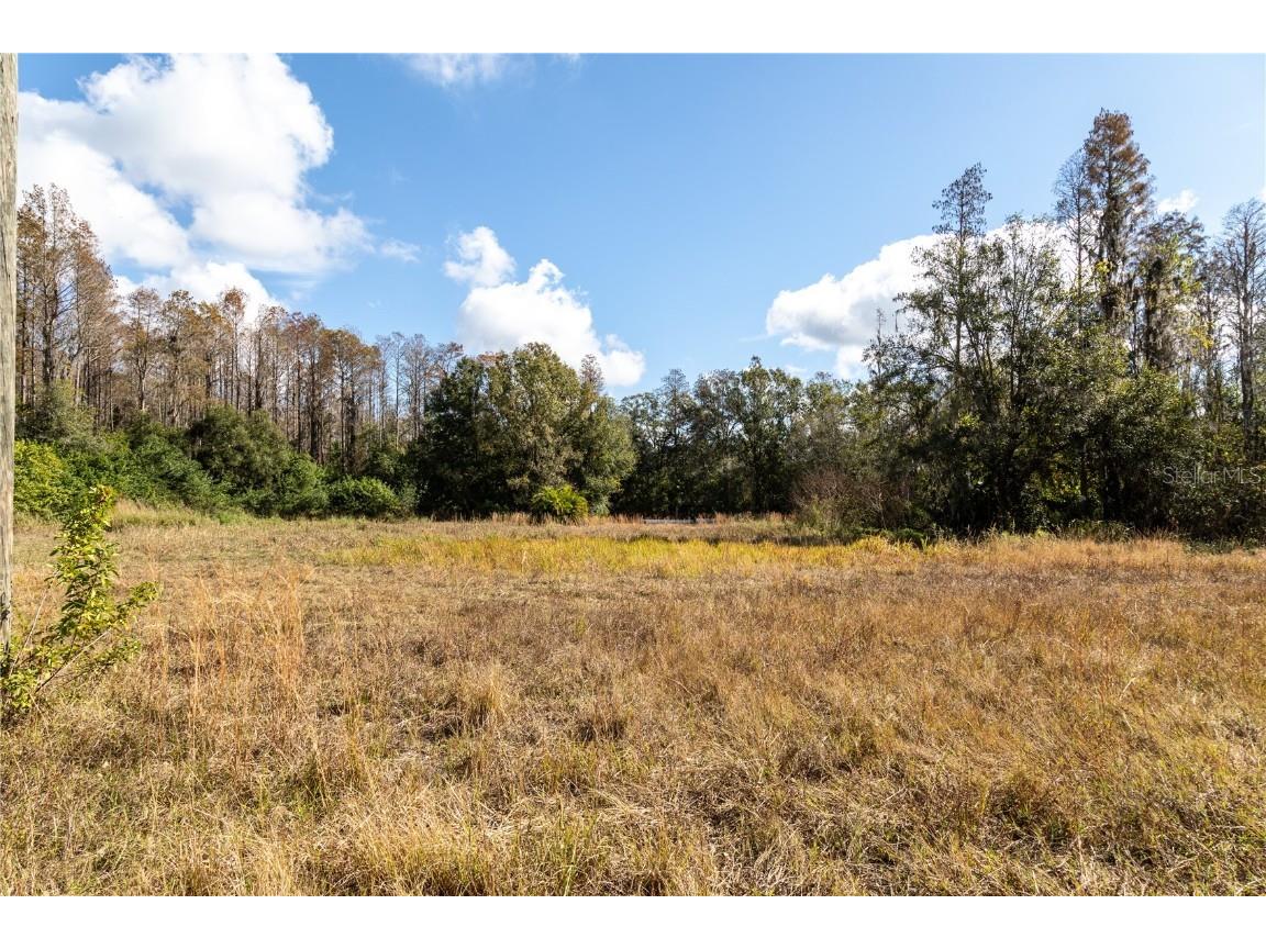 0 Tarpon Springs Road Odessa FL 33556 TB8458633 image11