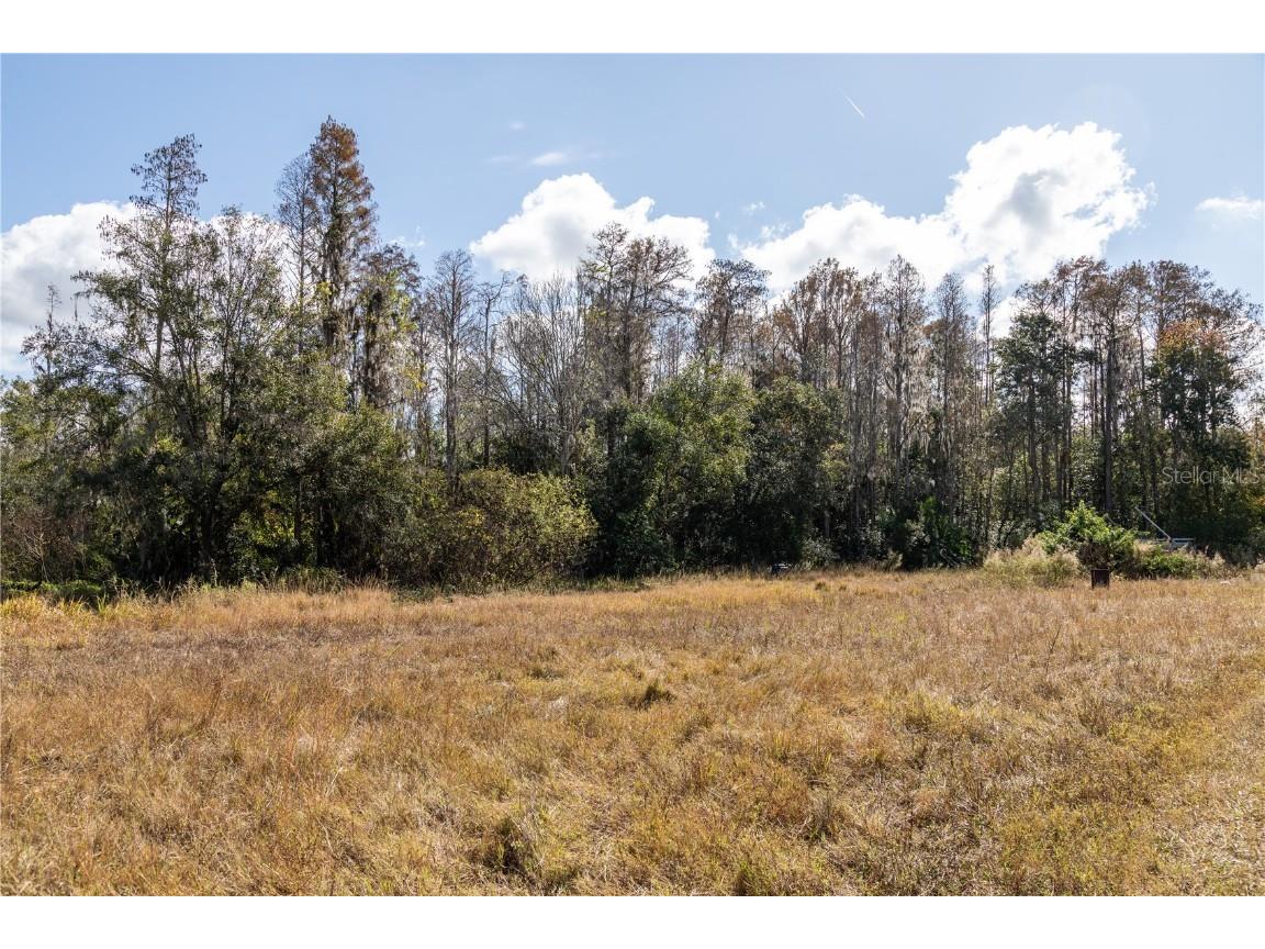 0 Tarpon Springs Road Odessa FL 33556 TB8458633 image12