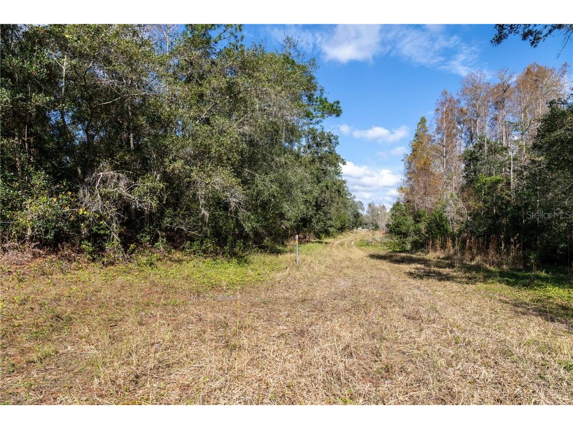 0 Tarpon Springs Road Odessa FL 33556 TB8458633 image13