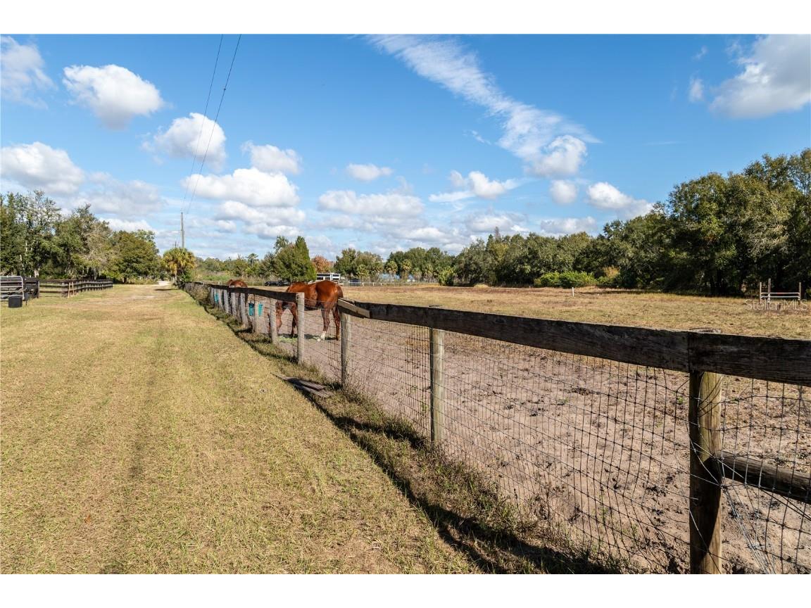 0 Tarpon Springs Road Odessa FL 33556 TB8458633 image7