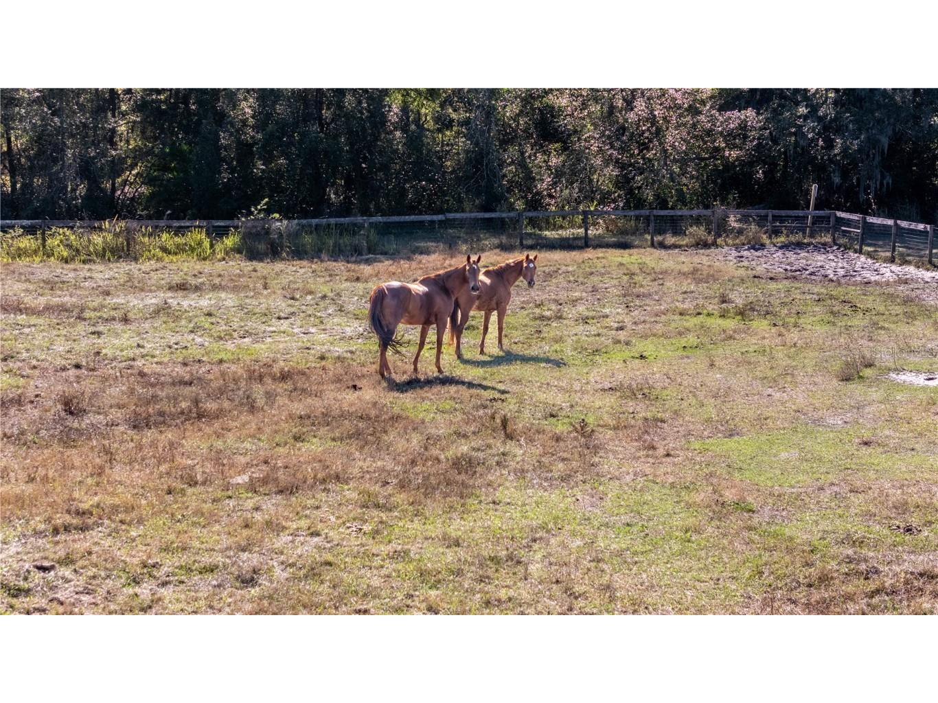 0 Tarpon Springs Road Odessa FL 33556 TB8458633 image8