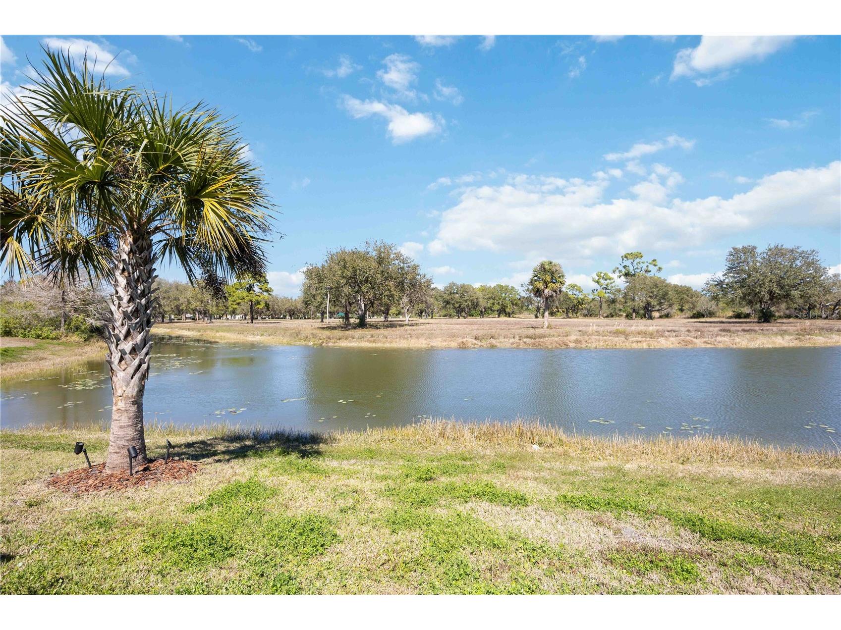 11561 Trailwood Drive Venice FL 34293 C7522071 image59