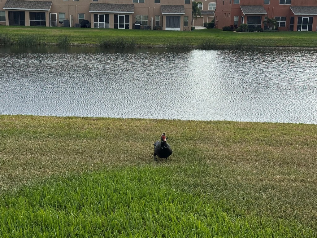 11562 84th Street Circle E #102 Parrish FL 34219 A4673799 image19