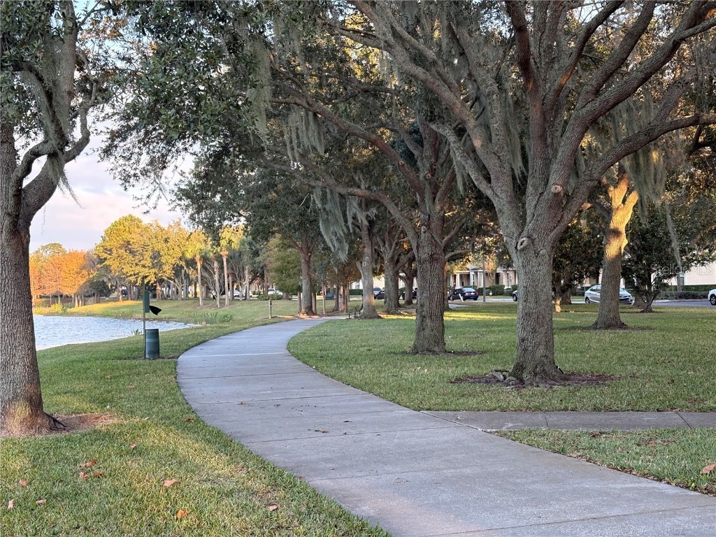 11562 Amidship Lane #207 Windermere FL 34786 O6365492 image21