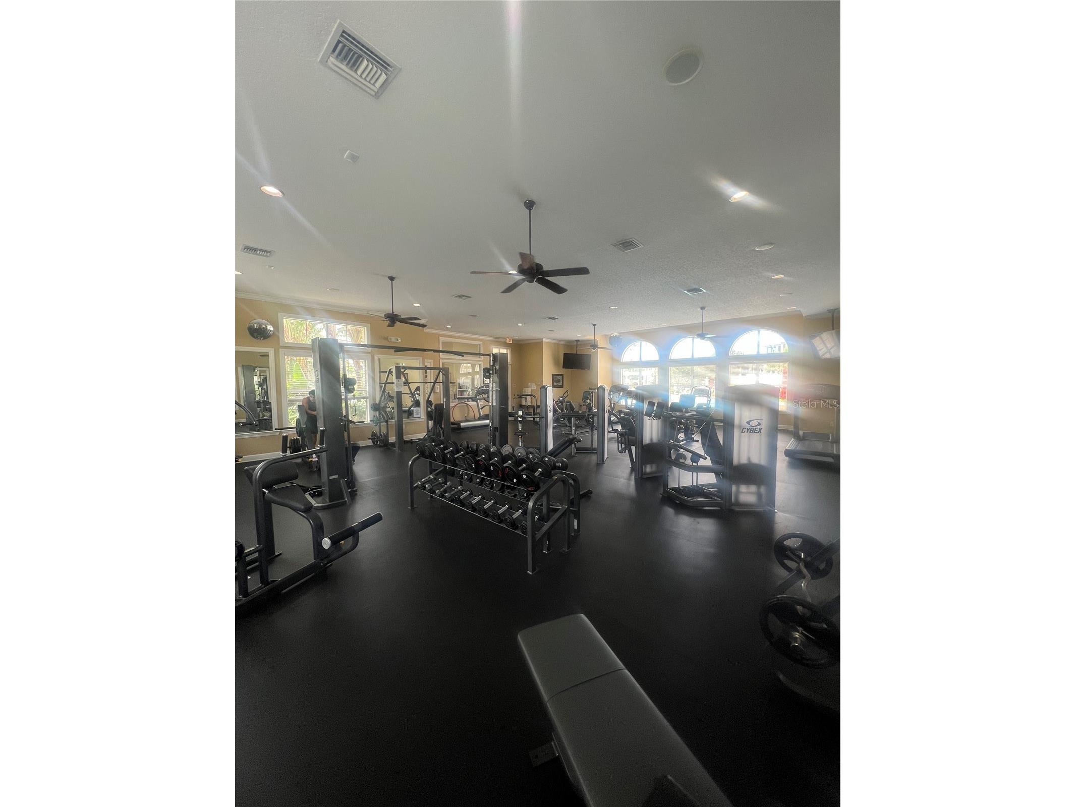 11564 Mizzon Drive #927 Windermere FL 34786 O6396097 image22
