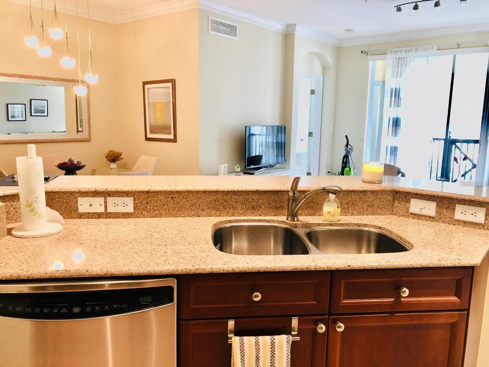 11565 Mizzon Drive #209 Windermere FL 34786 O6382411 image4