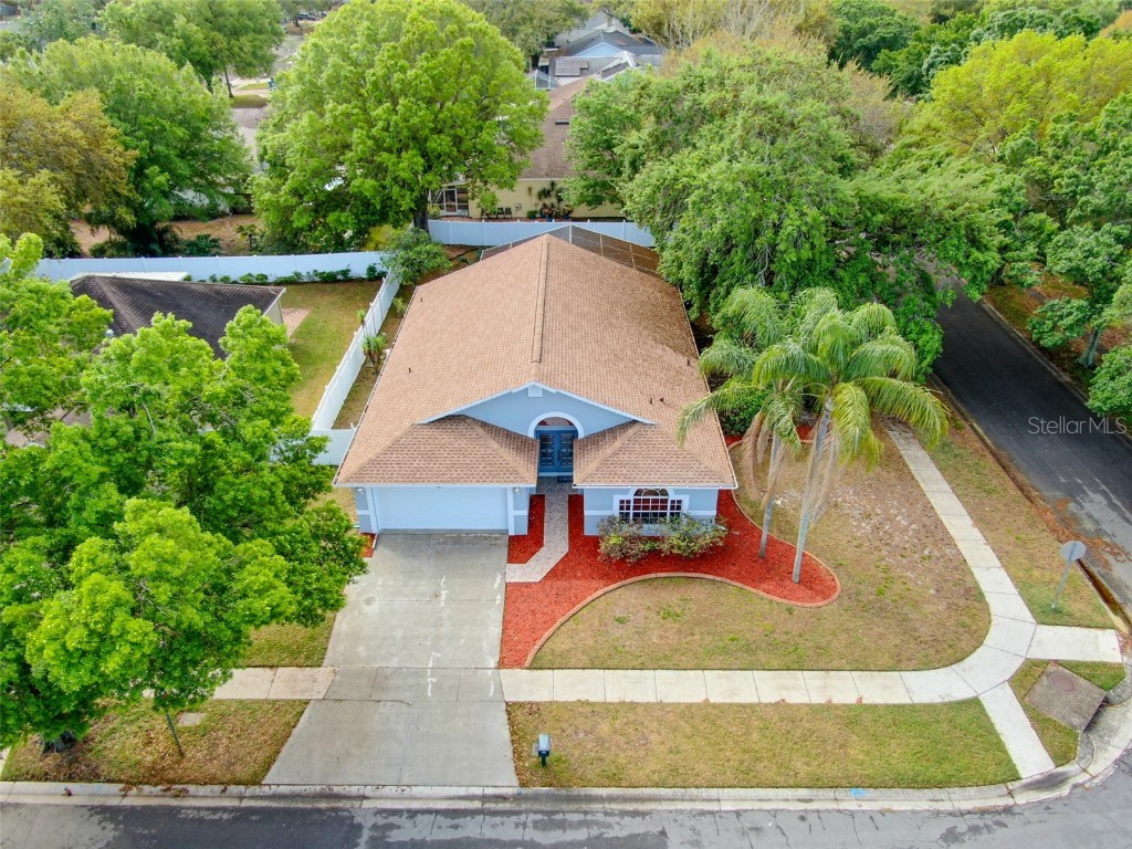 11566 Wellman Drive Riverview FL 33578 T3509792 image1