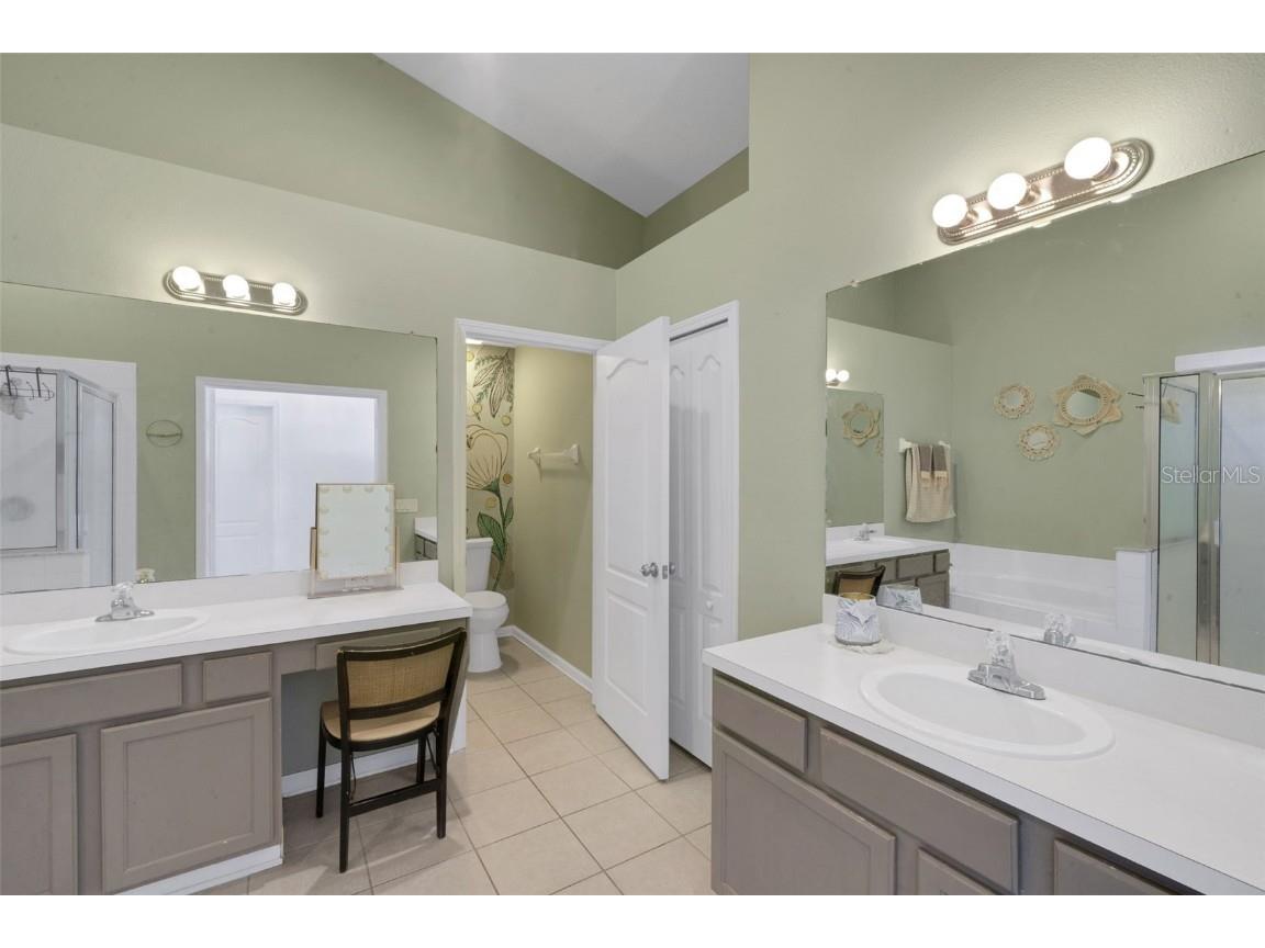 11567 Misty Isle Lane Riverview FL 33579 A4665161 image21